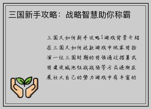 三国新手攻略：战略智慧助你称霸